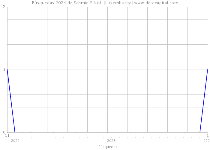 Búsquedas 2024 de Schmid S.à r.l. (Luxemburgo) 