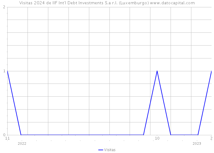 Visitas 2024 de IIF Int'l Debt Investments S.a r.l. (Luxemburgo) 
