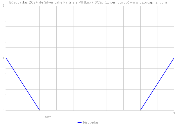Búsquedas 2024 de Silver Lake Partners VII (Lux), SCSp (Luxemburgo) 