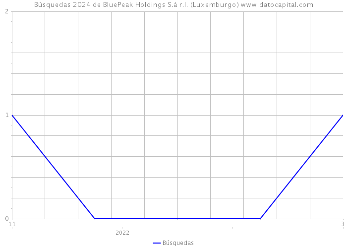 Búsquedas 2024 de BluePeak Holdings S.à r.l. (Luxemburgo) 