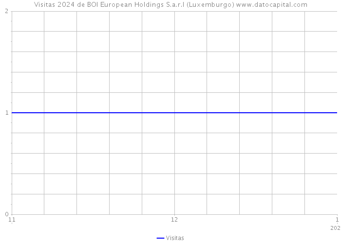 Visitas 2024 de BOI European Holdings S.a.r.l (Luxemburgo) 
