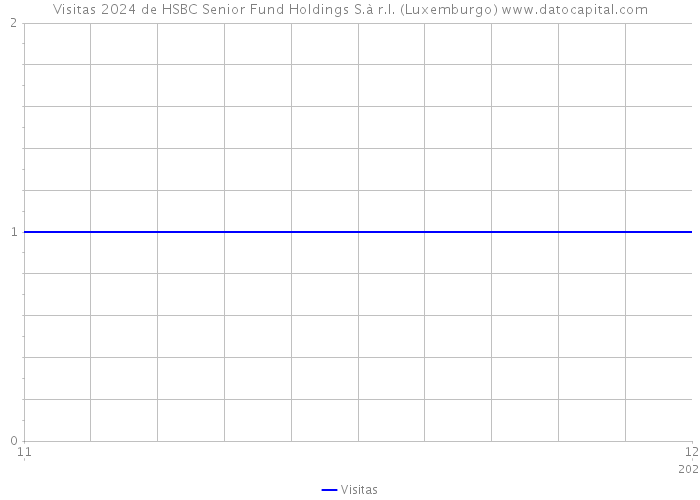 Visitas 2024 de HSBC Senior Fund Holdings S.à r.l. (Luxemburgo) 