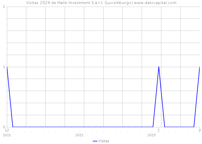 Visitas 2024 de Hatik Investment S.à r.l. (Luxemburgo) 