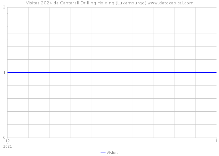 Visitas 2024 de Cantarell Drilling Holding (Luxemburgo) 