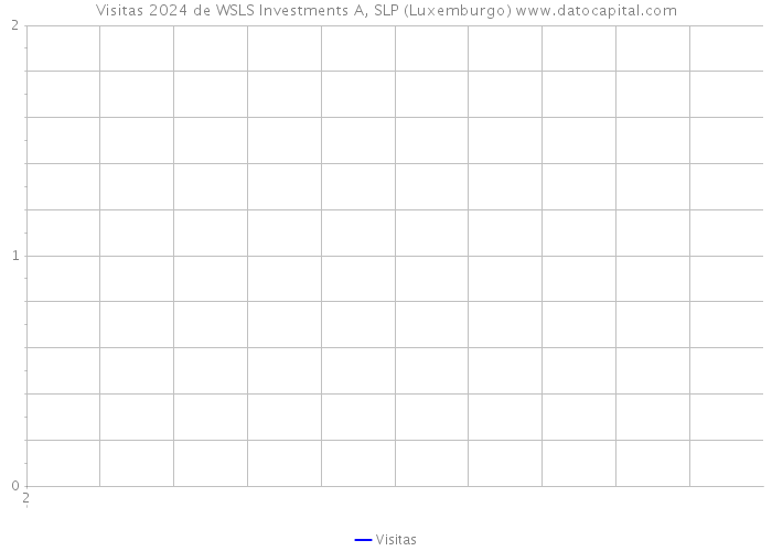 Visitas 2024 de WSLS Investments A, SLP (Luxemburgo) 