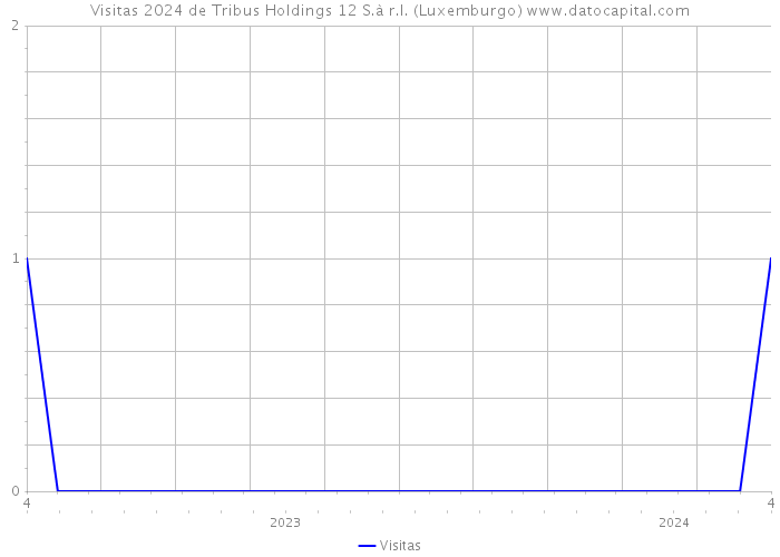 Visitas 2024 de Tribus Holdings 12 S.à r.l. (Luxemburgo) 