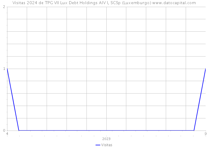 Visitas 2024 de TPG VII Lux Debt Holdings AIV I, SCSp (Luxemburgo) 
