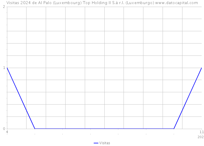 Visitas 2024 de AI Palo (Luxembourg) Top Holding II S.à r.l. (Luxemburgo) 