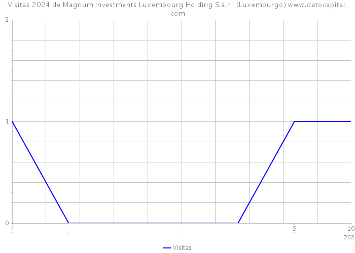 Visitas 2024 de Magnum Investments Luxembourg Holding S.à r.l (Luxemburgo) 