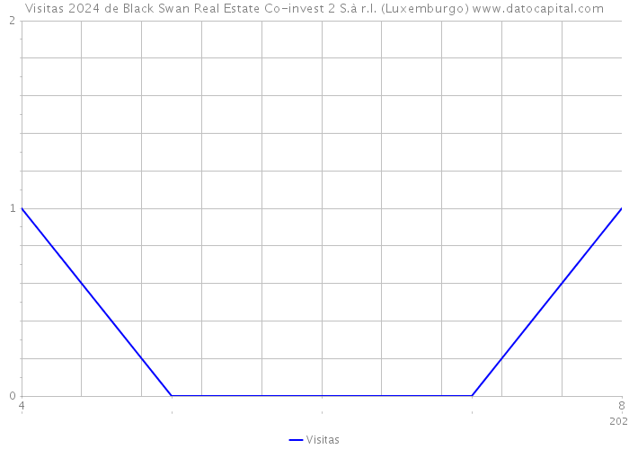 Visitas 2024 de Black Swan Real Estate Co-invest 2 S.à r.l. (Luxemburgo) 