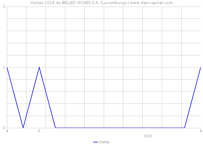 Visitas 2024 de BELLES VIGNES S.A. (Luxemburgo) 