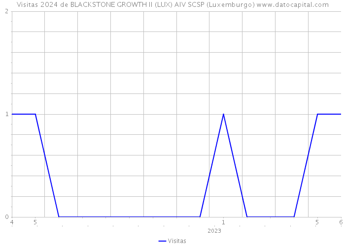 Visitas 2024 de BLACKSTONE GROWTH II (LUX) AIV SCSP (Luxemburgo) 