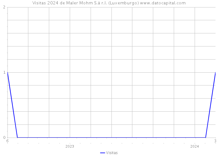 Visitas 2024 de Maler Mohm S.à r.l. (Luxemburgo) 