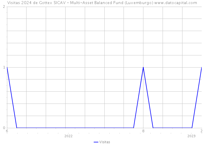 Visitas 2024 de Gottex SICAV - Multi-Asset Balanced Fund (Luxemburgo) 