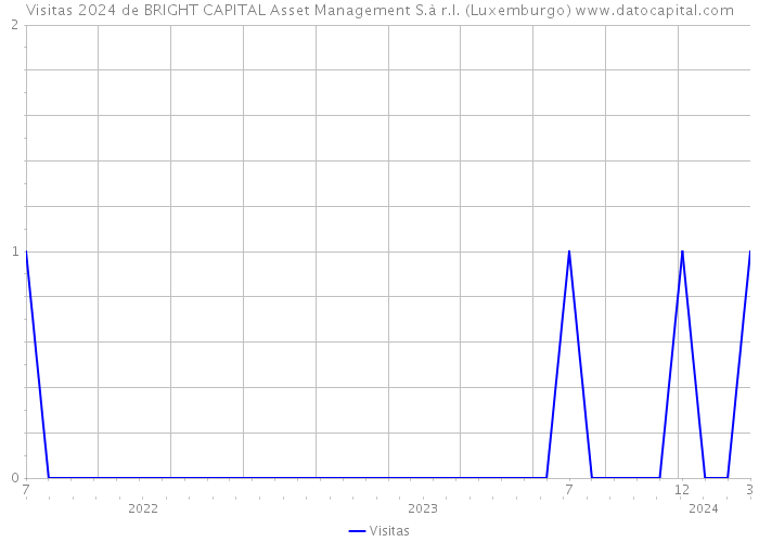 Visitas 2024 de BRIGHT CAPITAL Asset Management S.à r.l. (Luxemburgo) 