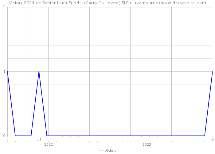 Visitas 2024 de Senior Loan Fund II (Carry Co-Invest) SLP (Luxemburgo) 
