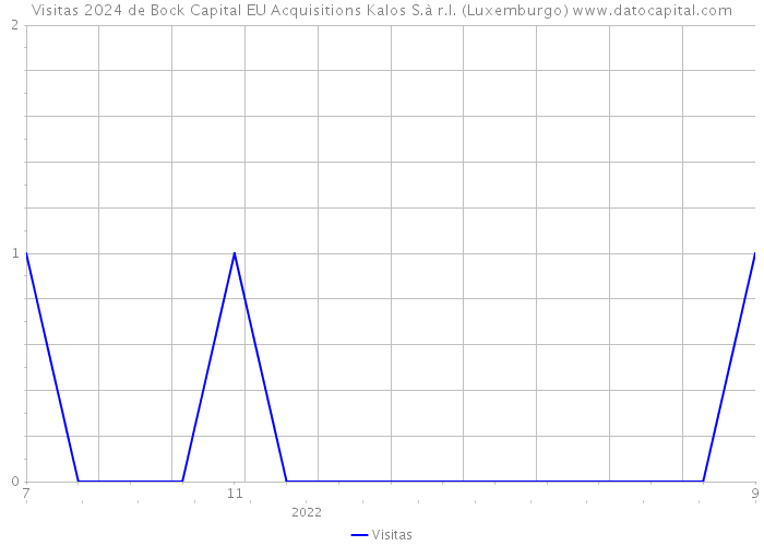 Visitas 2024 de Bock Capital EU Acquisitions Kalos S.à r.l. (Luxemburgo) 