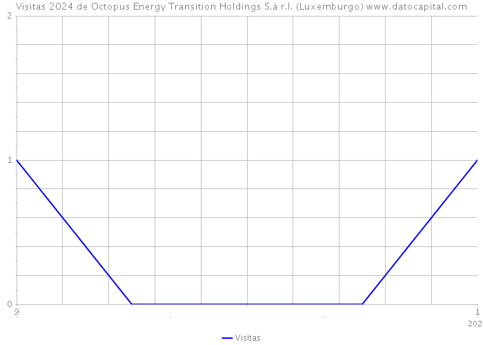 Visitas 2024 de Octopus Energy Transition Holdings S.à r.l. (Luxemburgo) 