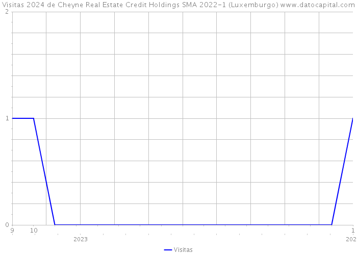 Visitas 2024 de Cheyne Real Estate Credit Holdings SMA 2022-1 (Luxemburgo) 
