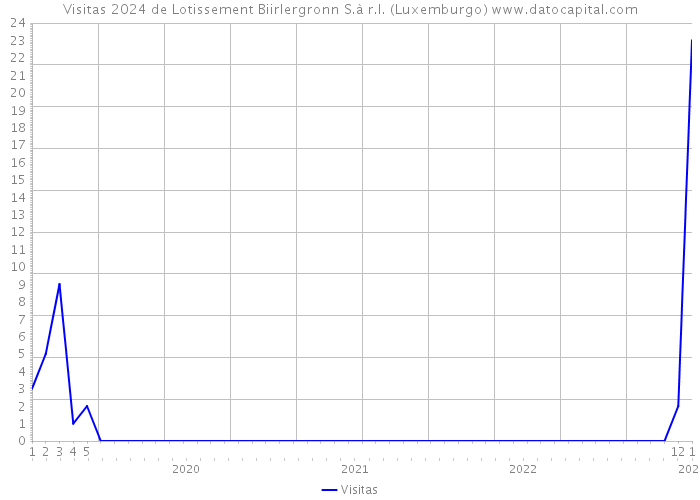 Visitas 2024 de Lotissement Biirlergronn S.à r.l. (Luxemburgo) 