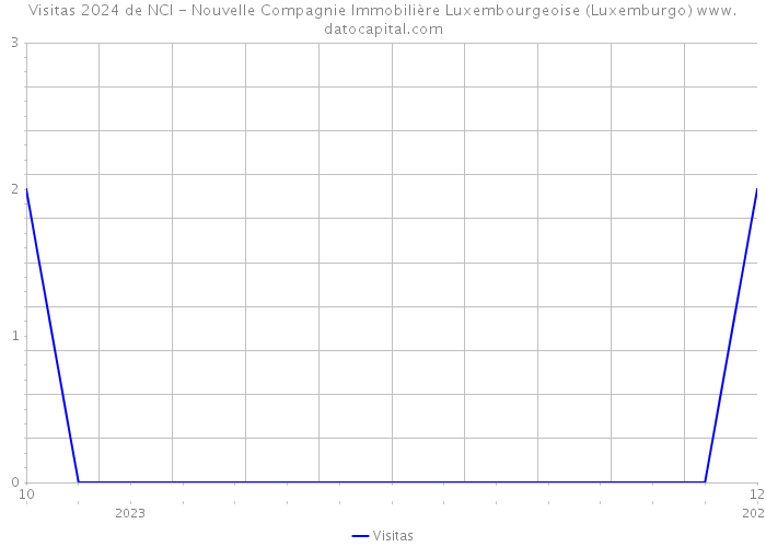 Visitas 2024 de NCI - Nouvelle Compagnie Immobilière Luxembourgeoise (Luxemburgo) 