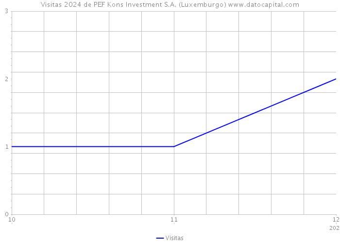 Visitas 2024 de PEF Kons Investment S.A. (Luxemburgo) 