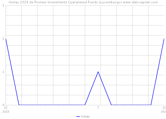Visitas 2024 de Pioneer Investments Guaranteed Funds (Luxemburgo) 