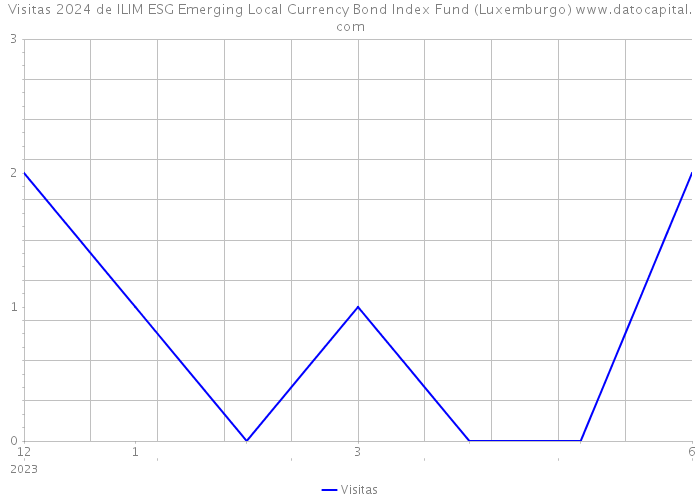 Visitas 2024 de ILIM ESG Emerging Local Currency Bond Index Fund (Luxemburgo) 
