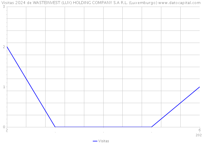 Visitas 2024 de WASTEINVEST (LUX) HOLDING COMPANY S.A R.L. (Luxemburgo) 