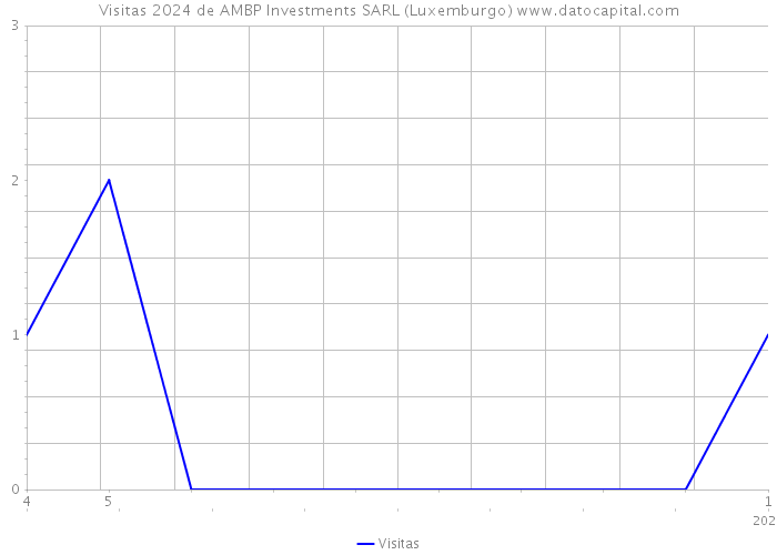 Visitas 2024 de AMBP Investments SARL (Luxemburgo) 