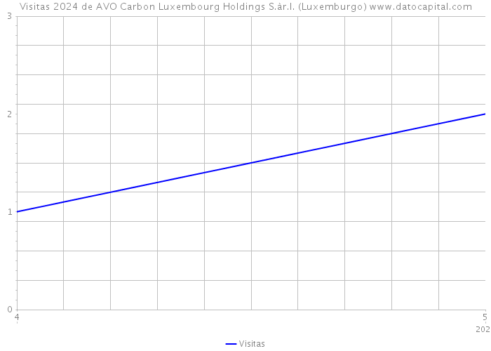 Visitas 2024 de AVO Carbon Luxembourg Holdings S.àr.l. (Luxemburgo) 