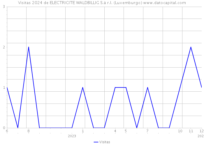 Visitas 2024 de ELECTRICITE WALDBILLIG S.à r.l. (Luxemburgo) 