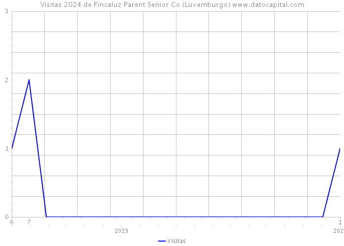 Visitas 2024 de Fincaluz Parent Senior Co (Luxemburgo) 
