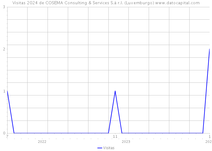 Visitas 2024 de COSEMA Consulting & Services S.à r.l. (Luxemburgo) 