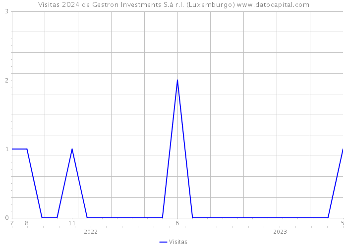 Visitas 2024 de Gestron Investments S.à r.l. (Luxemburgo) 