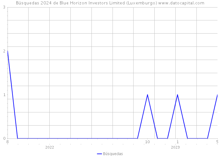 Búsquedas 2024 de Blue Horizon Investors Limited (Luxemburgo) 