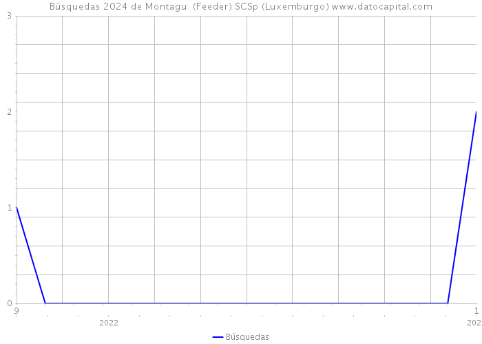 Búsquedas 2024 de Montagu+ (Feeder) SCSp (Luxemburgo) 