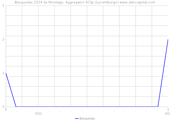 Búsquedas 2024 de Montagu+ Aggregator SCSp (Luxemburgo) 