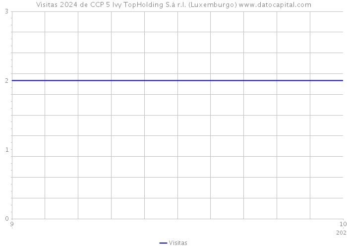 Visitas 2024 de CCP 5 Ivy TopHolding S.à r.l. (Luxemburgo) 
