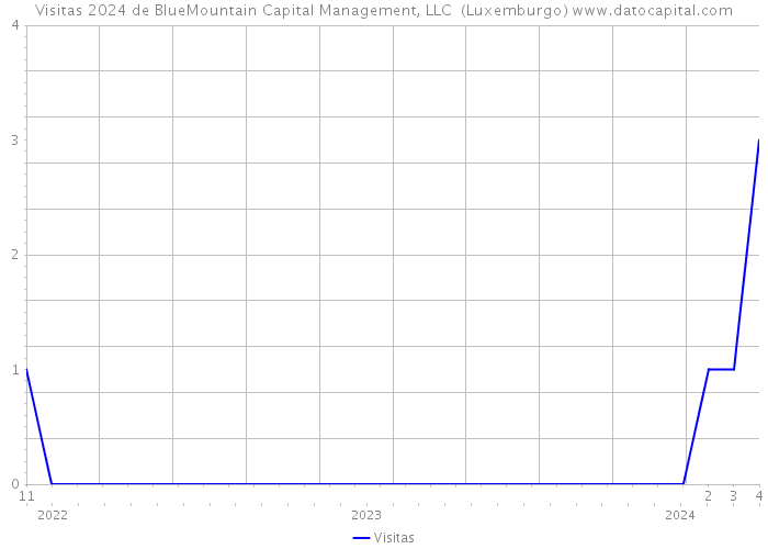 Visitas 2024 de BlueMountain Capital Management, LLC (Luxemburgo) 