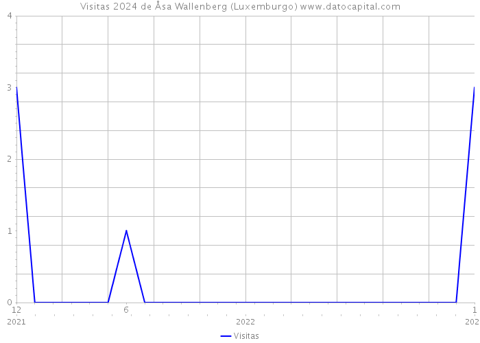 Visitas 2024 de Åsa Wallenberg (Luxemburgo) 