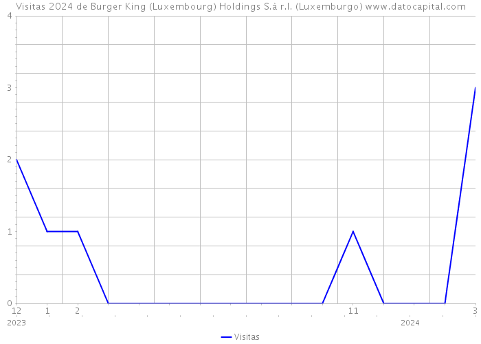 Visitas 2024 de Burger King (Luxembourg) Holdings S.à r.l. (Luxemburgo) 