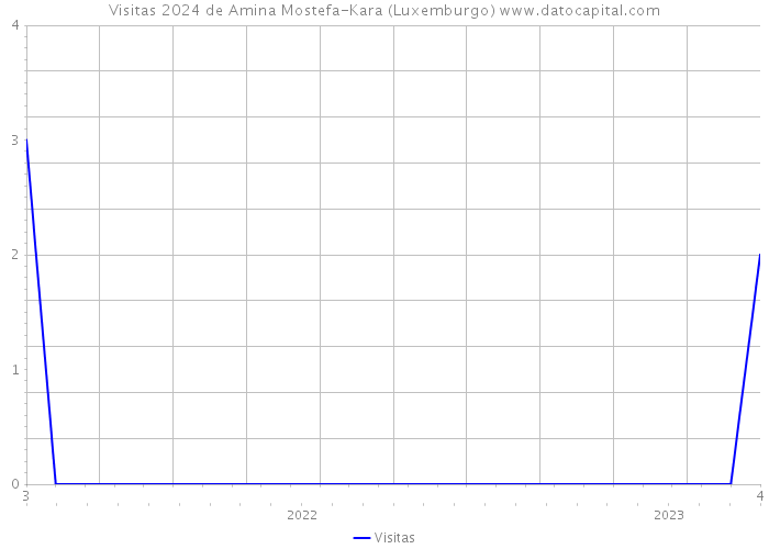 Visitas 2024 de Amina Mostefa-Kara (Luxemburgo) 