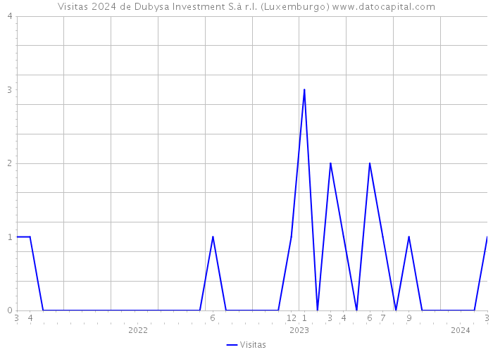 Visitas 2024 de Dubysa Investment S.à r.l. (Luxemburgo) 
