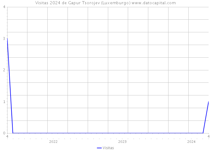 Visitas 2024 de Gapur Tsorojev (Luxemburgo) 