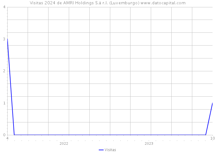 Visitas 2024 de AMRI Holdings S.à r.l. (Luxemburgo) 