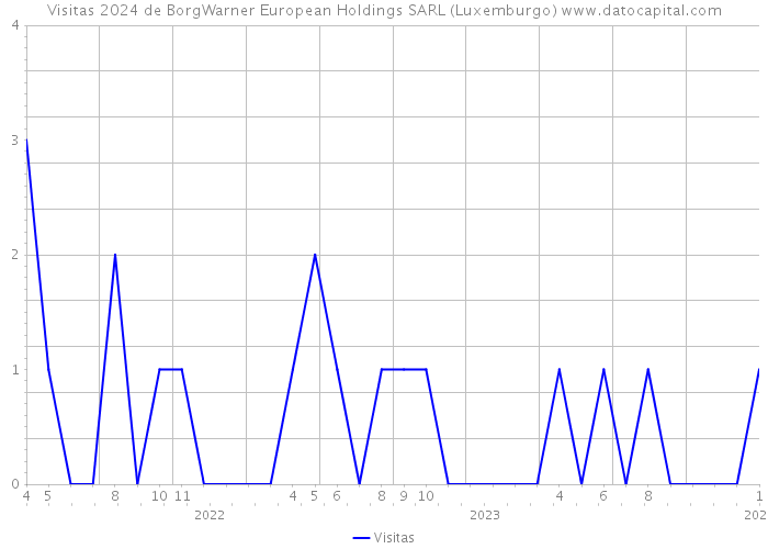 Visitas 2024 de BorgWarner European Holdings SARL (Luxemburgo) 