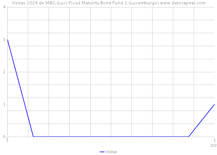 Visitas 2024 de M&G (Lux) Fixed Maturity Bond Fund 1 (Luxemburgo) 