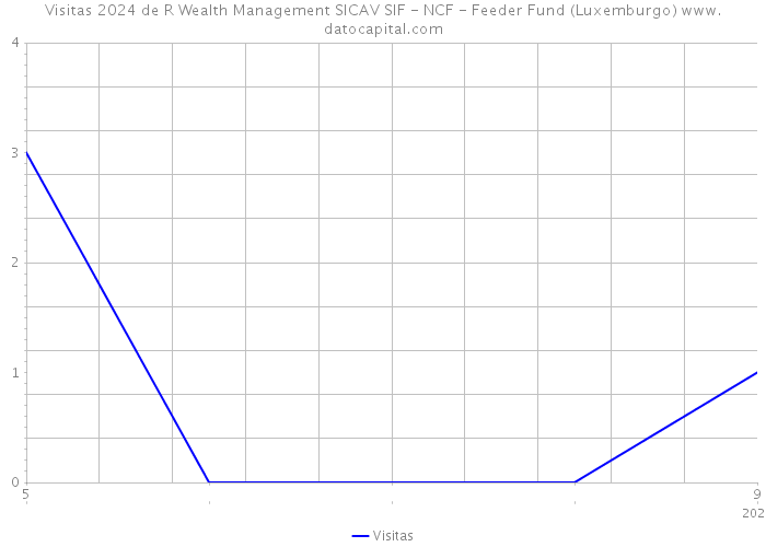 Visitas 2024 de R Wealth Management SICAV SIF - NCF - Feeder Fund (Luxemburgo) 