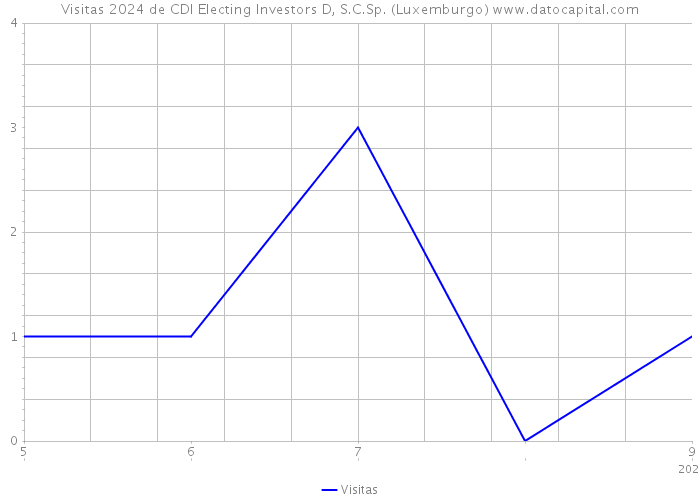 Visitas 2024 de CDI Electing Investors D, S.C.Sp. (Luxemburgo) 